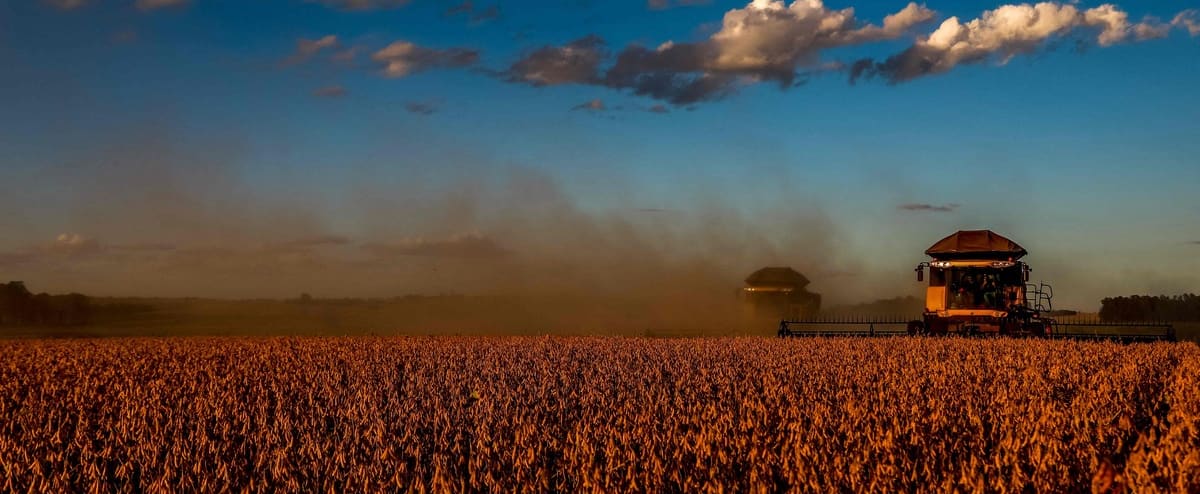 The Impact Of Global Warming On Fungal Infections: A Public Health Threat The Impact Of Global Warming On Fungal Infections: A Public Health Threat