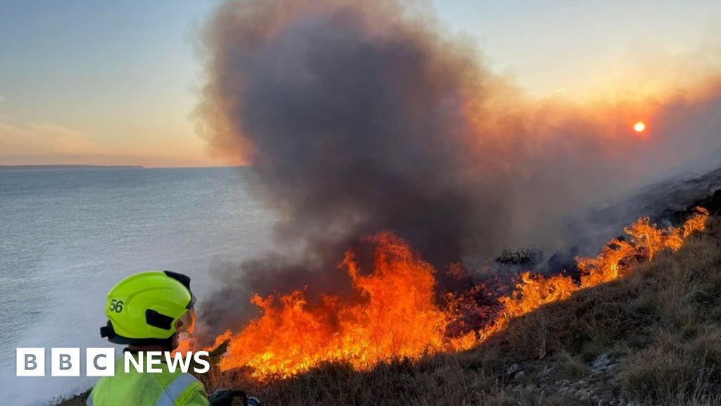 The Impact Of Wildfires On UK's Rarest Wildlife: A Crisis The Impact Of Wildfires On UK's Rarest Wildlife: A Crisis