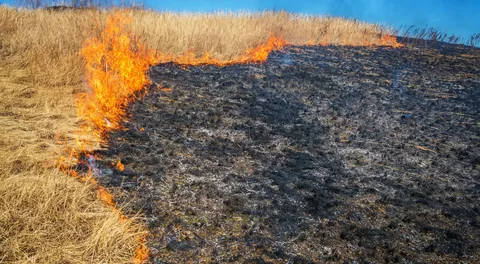 The LA Wildfires: A Case Study In The Growing Market Of Disaster Betting The LA Wildfires: A Case Study In The Growing Market Of Disaster Betting