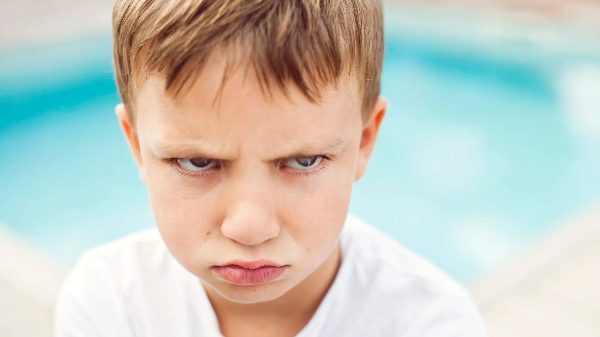The Love Monster Within: Exploring The Roots Of Aggressive Behavior In Children The Love Monster Within: Exploring The Roots Of Aggressive Behavior In Children