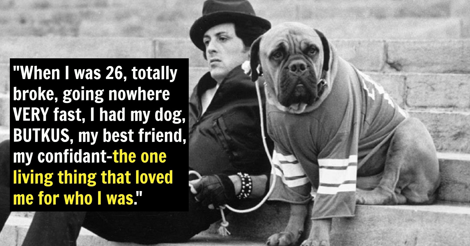 The Most Emotional Rocky Film: Sylvester Stallone's Personal Choice The Most Emotional Rocky Film: Sylvester Stallone's Personal Choice