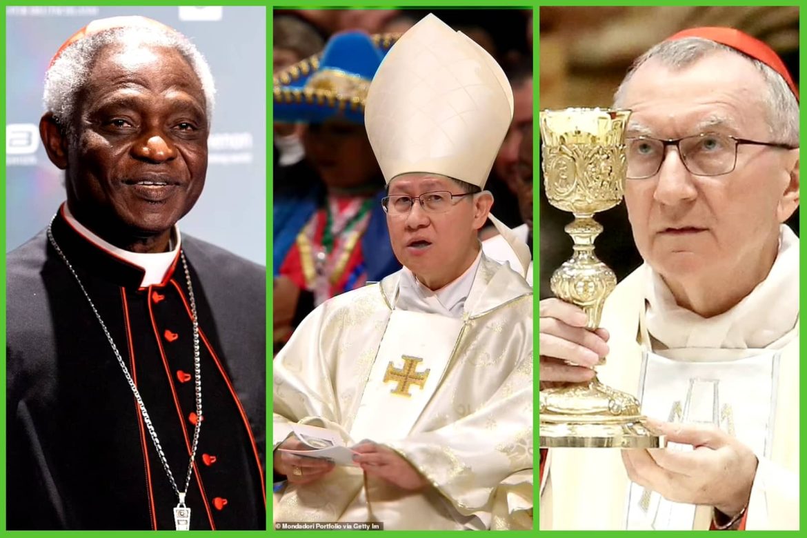 The Next Pope: Examining Potential Successors To Pope Francis The Next Pope: Examining Potential Successors To Pope Francis