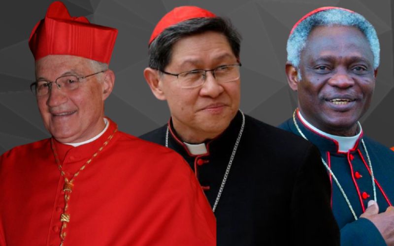 The Next Pope: Nine Cardinals In The Running After Pope Francis The Next Pope: Nine Cardinals In The Running After Pope Francis