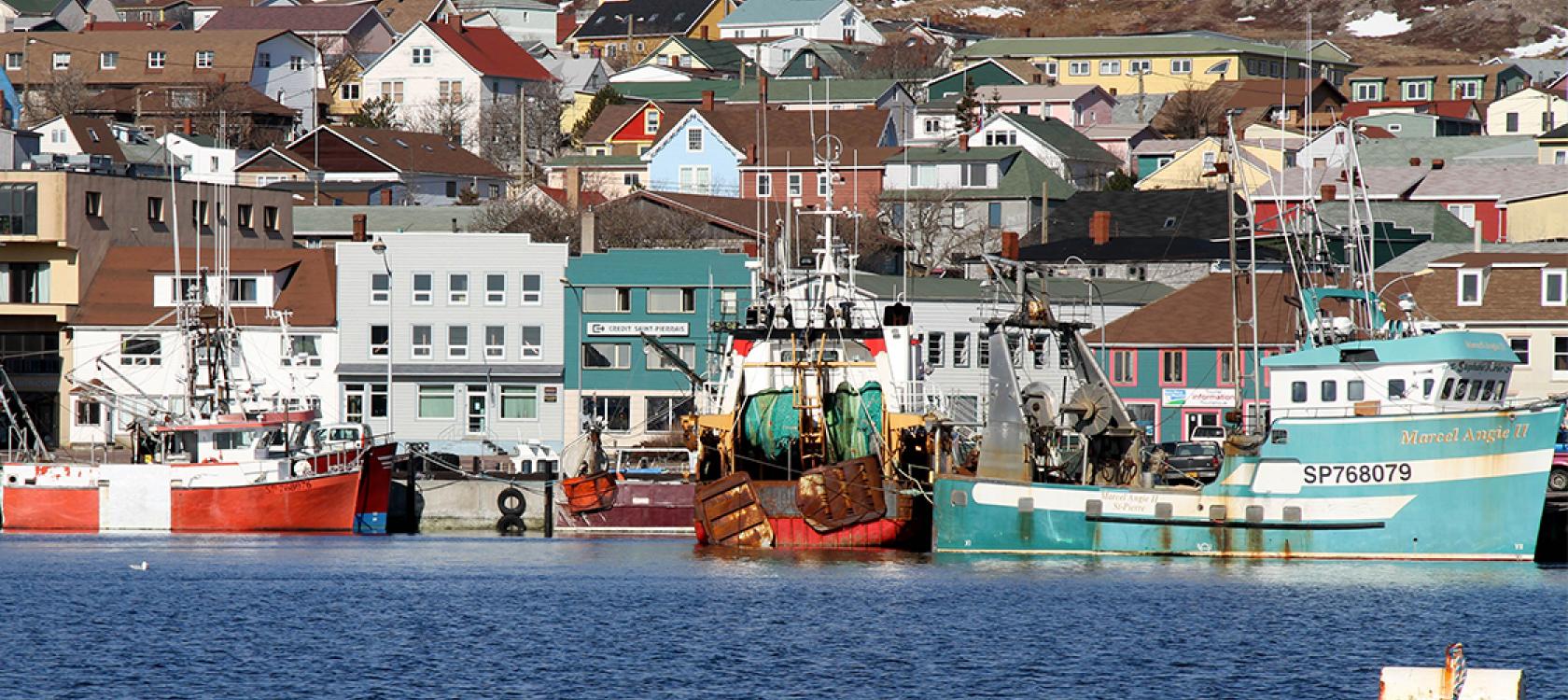 The OQTF Debate: Retailleau Responds To Wauquiez's Saint-Pierre-et-Miquelon Plan The OQTF Debate: Retailleau Responds To Wauquiez's Saint-Pierre-et-Miquelon Plan