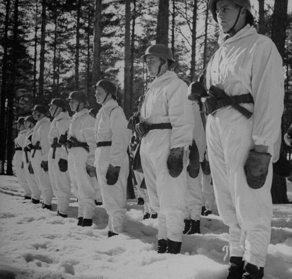 The Pan-Nordic Army: A Combined Strength Of Swedish Tanks And Finnish Troops The Pan-Nordic Army: A Combined Strength Of Swedish Tanks And Finnish Troops