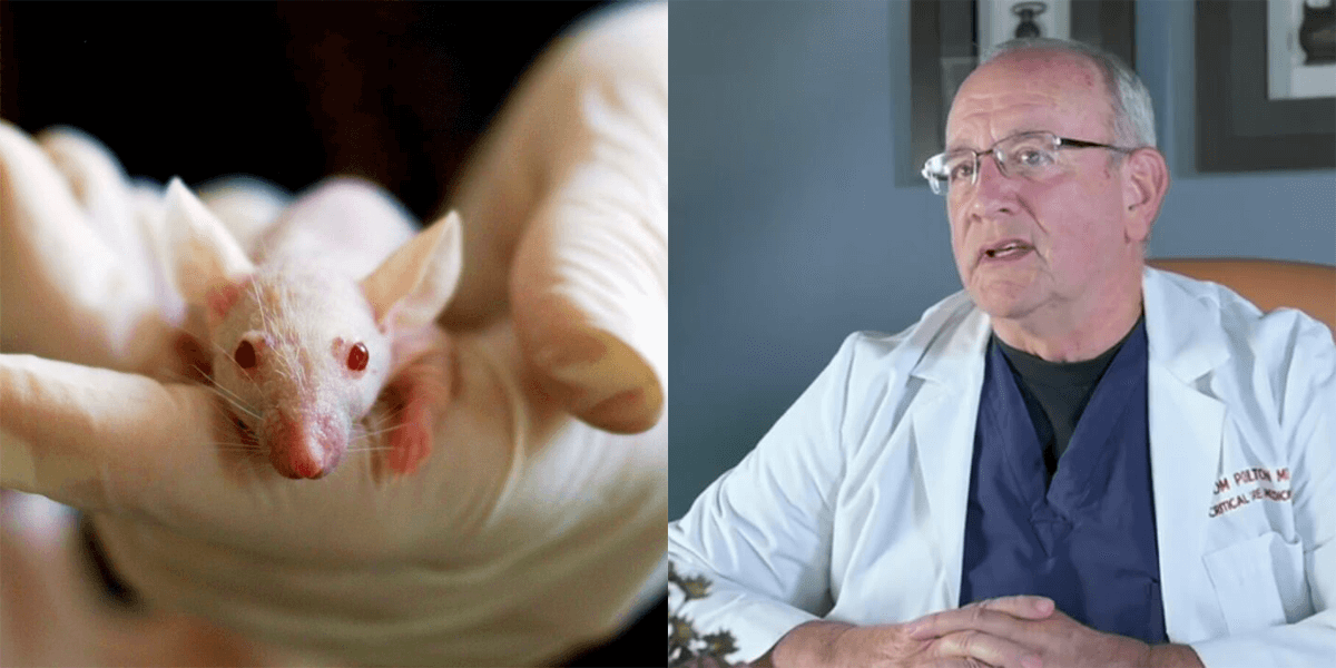 The Reality Of US Funding In Transgender Animal Research The Reality Of US Funding In Transgender Animal Research