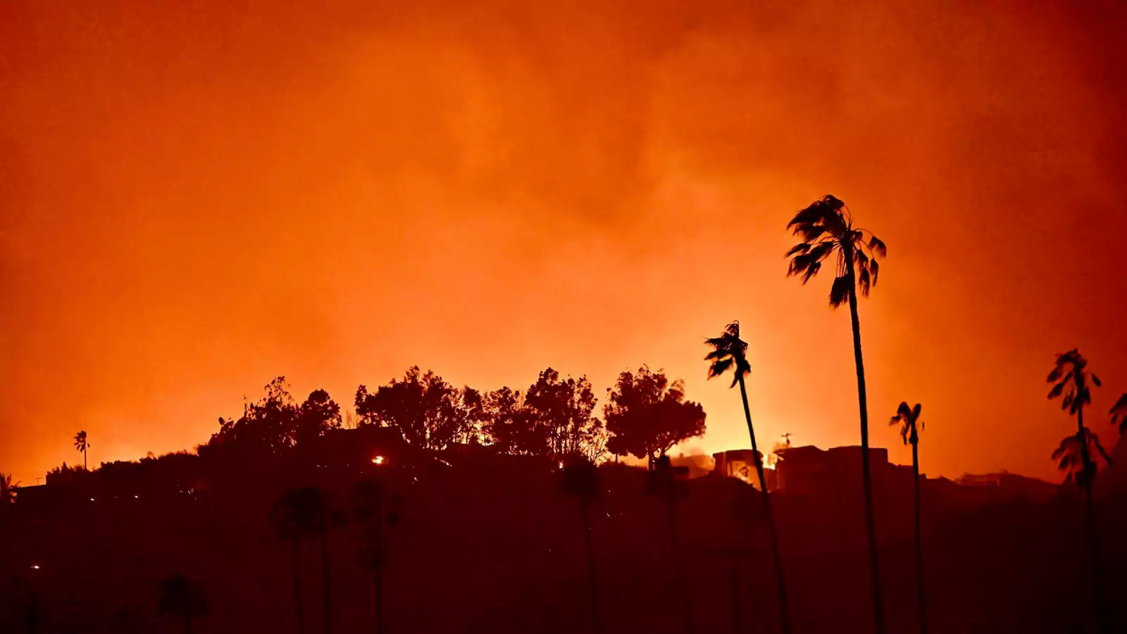 The Rise Of Disaster Betting: Examining The Los Angeles Wildfires Case The Rise Of Disaster Betting: Examining The Los Angeles Wildfires Case