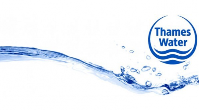 The Thames Water Case: A Study In Executive Compensation The Thames Water Case: A Study In Executive Compensation