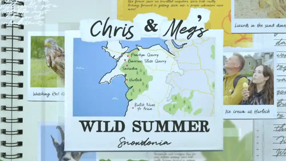 The Wild Summer Of Chris And Meg The Wild Summer Of Chris And Meg