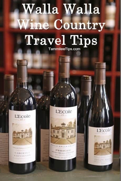This Country: Travel Tips And Essential Information This Country: Travel Tips And Essential Information
