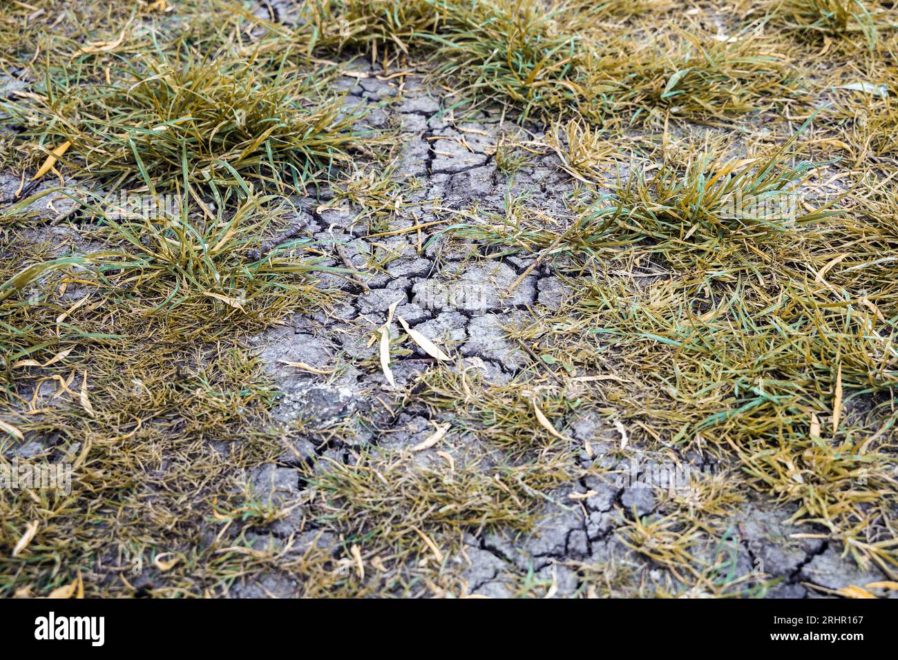 This Spring's Echo Of 1968: What It Means For Summer Drought This Spring's Echo Of 1968: What It Means For Summer Drought
