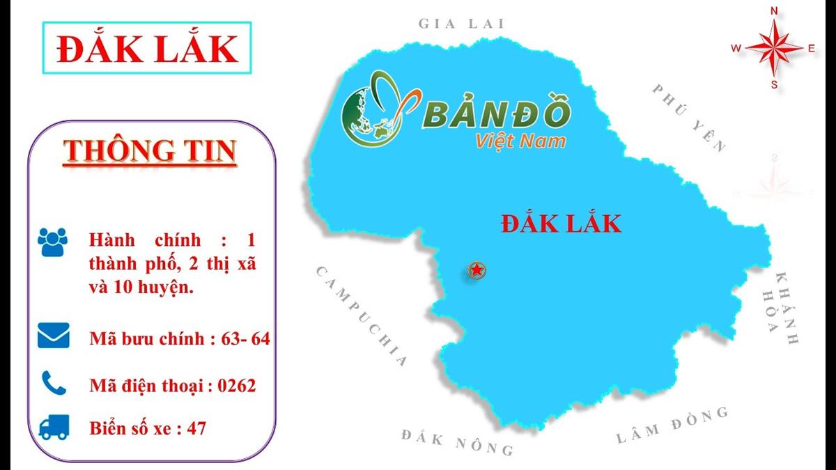 Thử Thách Chạy Bộ 200km: Đắk Lắk - Phú Yên, Hơn 200 Người Tham Gia Thử Thách Chạy Bộ 200km: Đắk Lắk - Phú Yên, Hơn 200 Người Tham Gia