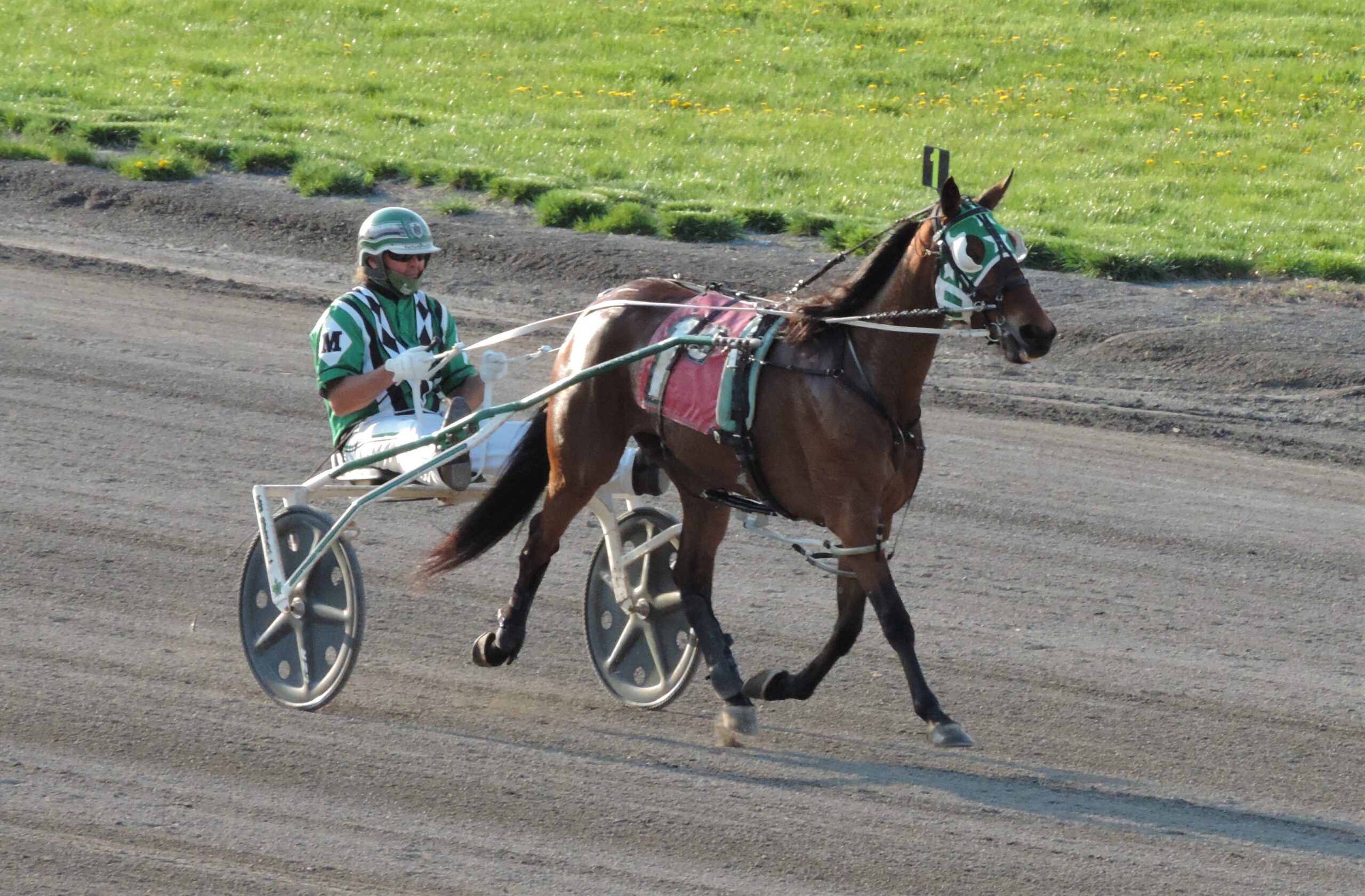 Tioga Downs 2025: A Look Ahead At The Upcoming Racing Season Tioga Downs 2025: A Look Ahead At The Upcoming Racing Season