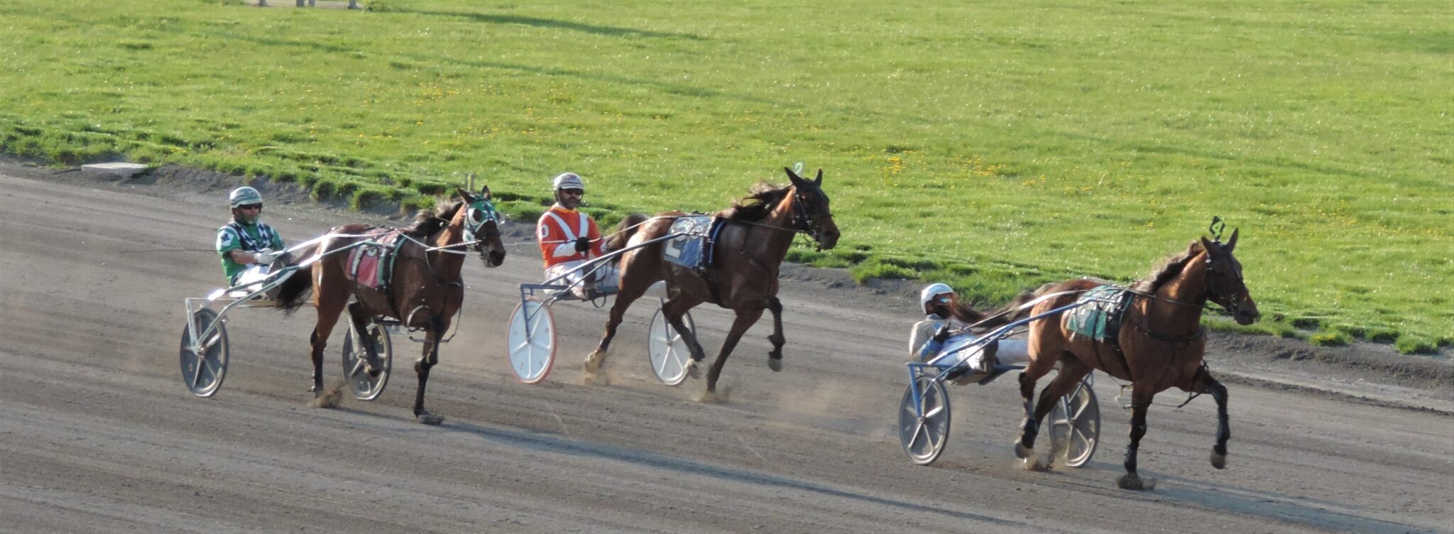 Tioga Downs 2025 Racing Season: What To Expect Tioga Downs 2025 Racing Season: What To Expect