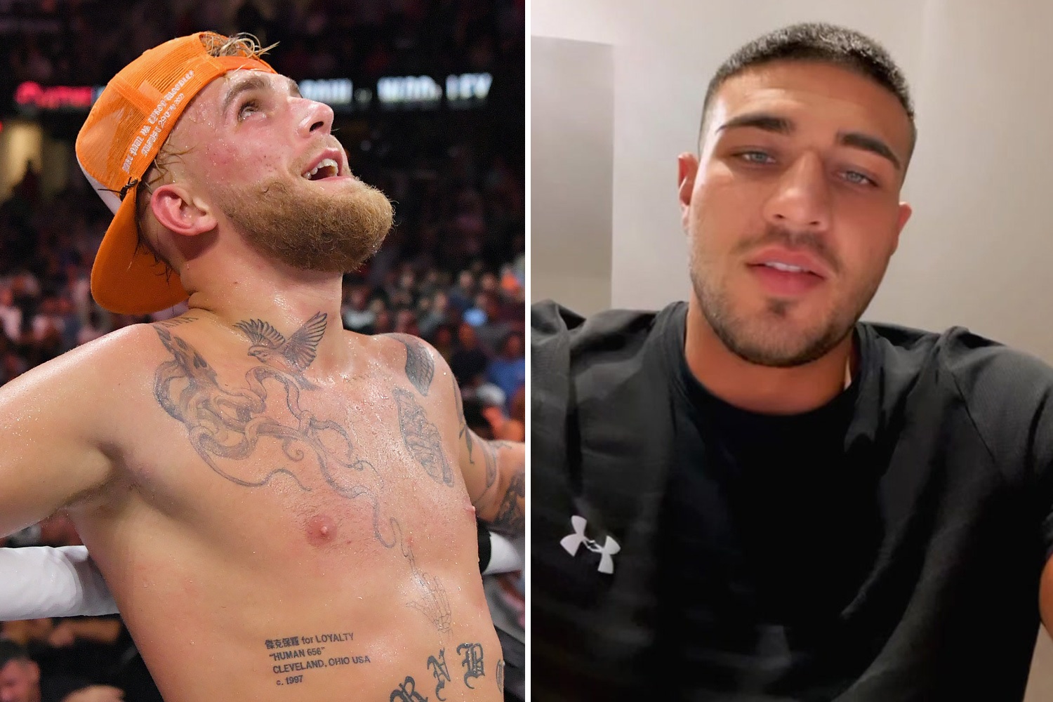 Tommy Fury Rejects Jake Paul's $3 Million Offer: Feud Reignited Tommy Fury Rejects Jake Paul's $3 Million Offer: Feud Reignited