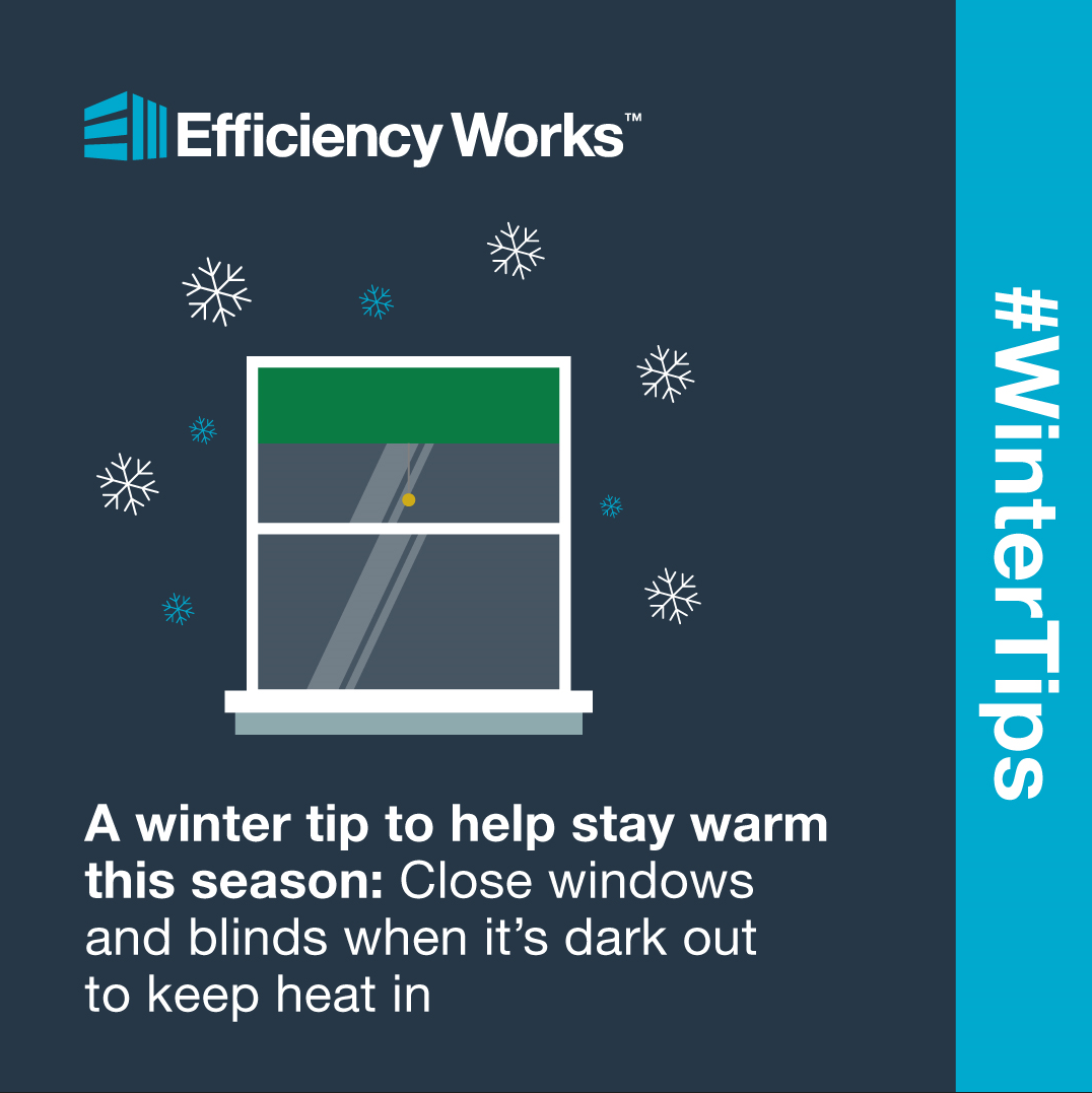 Top Tips For A Successful Winterwatch Experience Top Tips For A Successful Winterwatch Experience