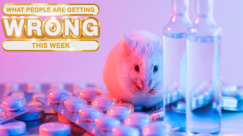 Transgender Mouse Research And US Funding: What You Need To Know