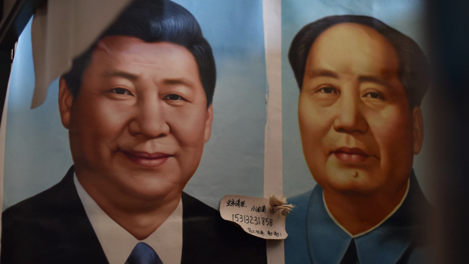 Tres Toros Uruguayos Viajan A China Como Regalo A Xi Jinping Tres Toros Uruguayos Viajan A China Como Regalo A Xi Jinping