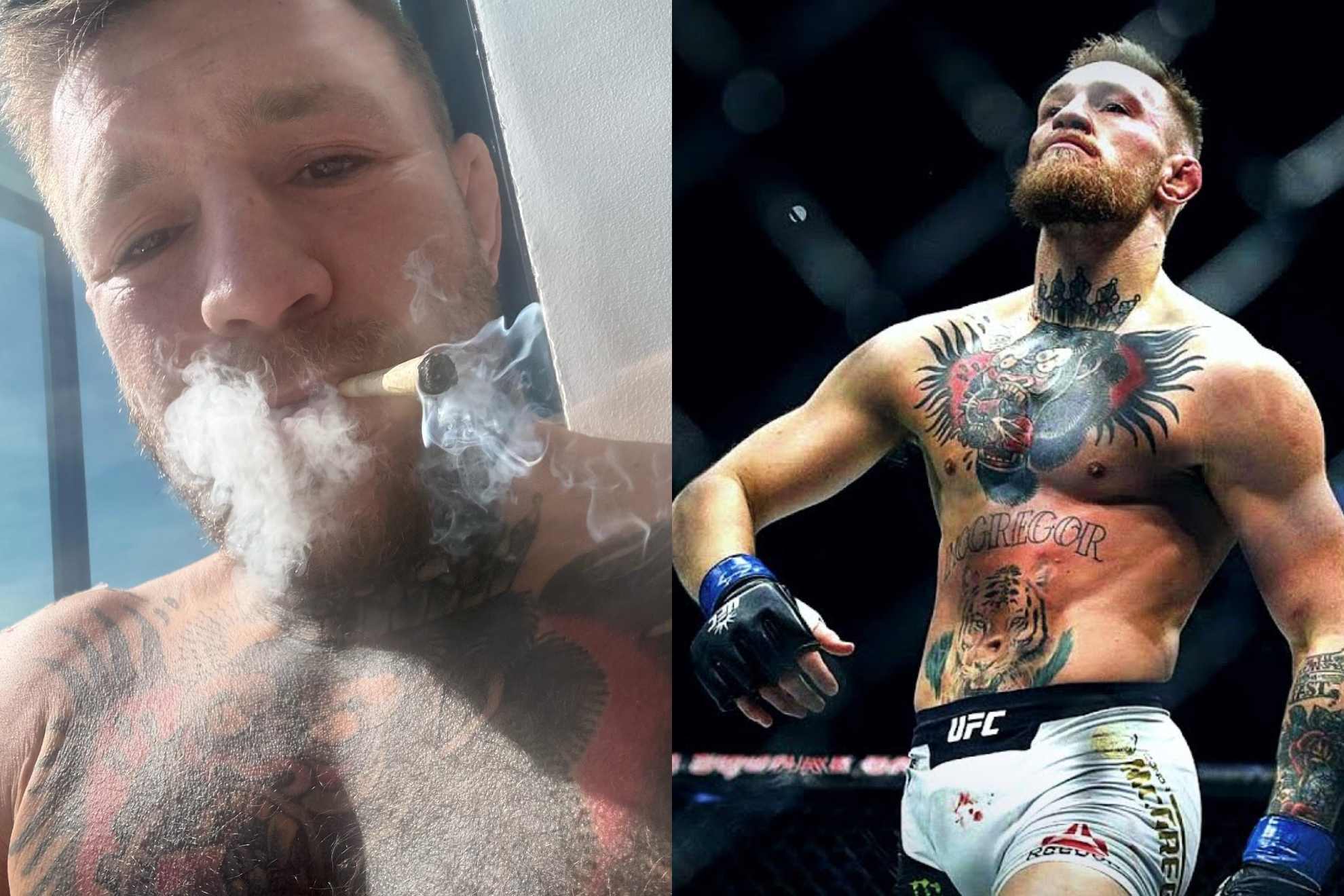 UFC Bogeyman's 7-Fight Run Culminates In Knockout Of Conor McGregor's Partner UFC Bogeyman's 7-Fight Run Culminates In Knockout Of Conor McGregor's Partner