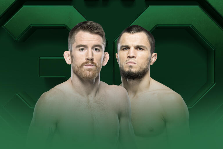UFC On ESPN 67: Sandhagen Vs. Figueiredo Fight Night Results Analysis UFC On ESPN 67: Sandhagen Vs. Figueiredo Fight Night Results Analysis
