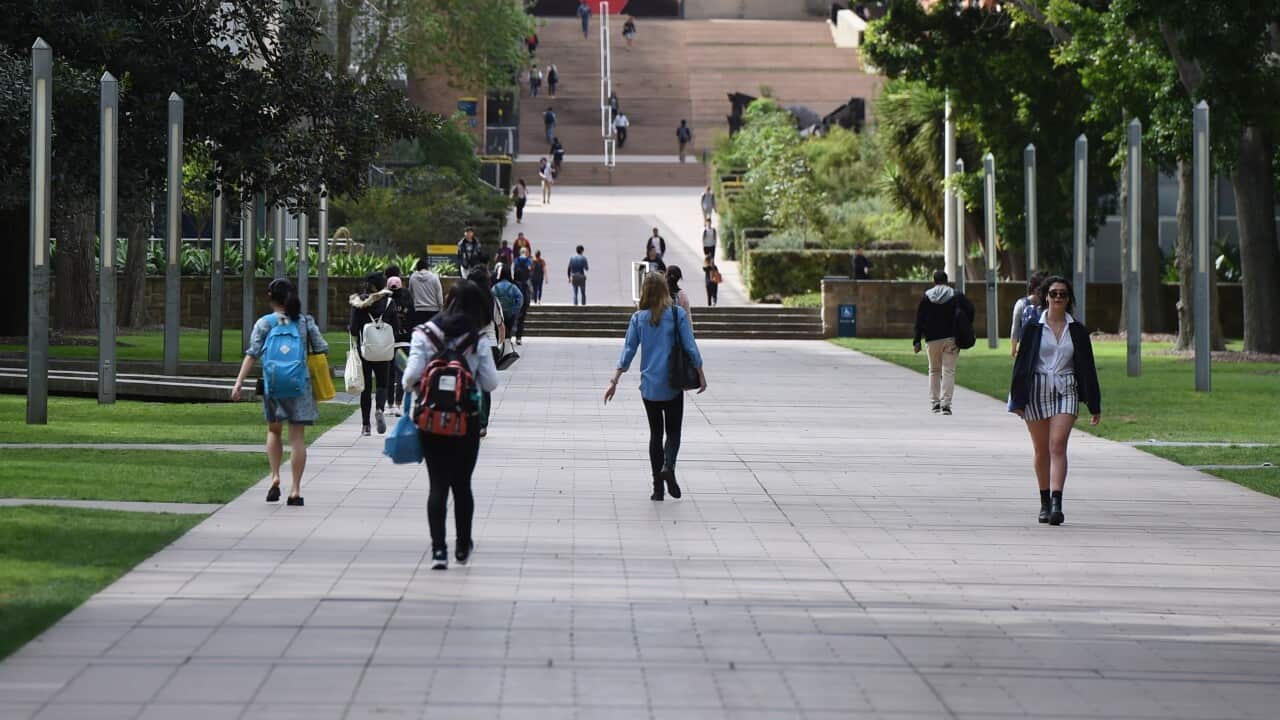 UK To Tighten Student Visas: Pakistan And Potential Asylum Increases UK To Tighten Student Visas: Pakistan And Potential Asylum Increases
