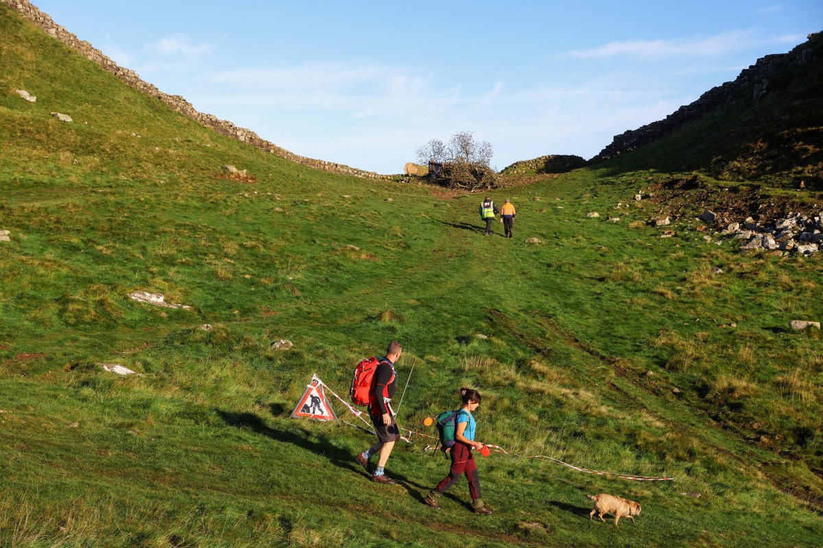 UK's Sycamore Gap Tree: Conviction For Criminal Damage UK's Sycamore Gap Tree: Conviction For Criminal Damage