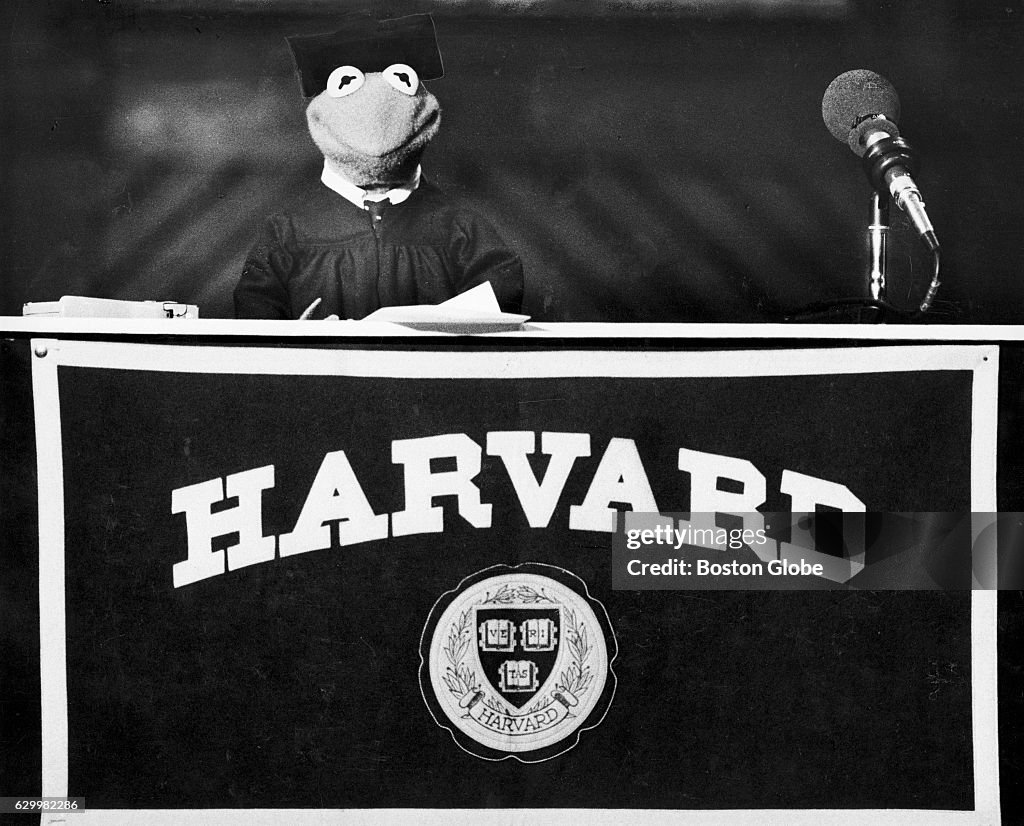 UMD Commencement 2025: Kermit The Frog's Surprise Announcement UMD Commencement 2025: Kermit The Frog's Surprise Announcement
