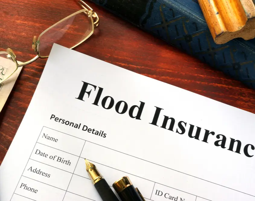 Understanding Flood Alerts: A Comprehensive Guide Understanding Flood Alerts: A Comprehensive Guide