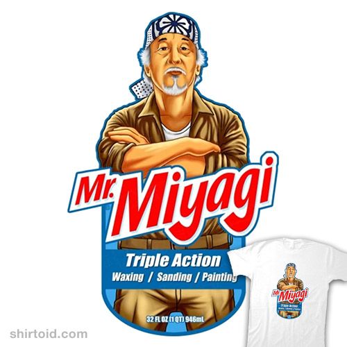 Understanding Mr. Miyagi's Teachings In The Karate Kid Understanding Mr. Miyagi's Teachings In The Karate Kid