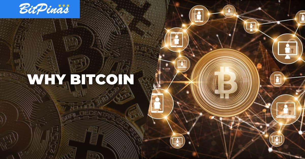 Understanding The Bitcoin Market Rebound: Factors And Forecasts
