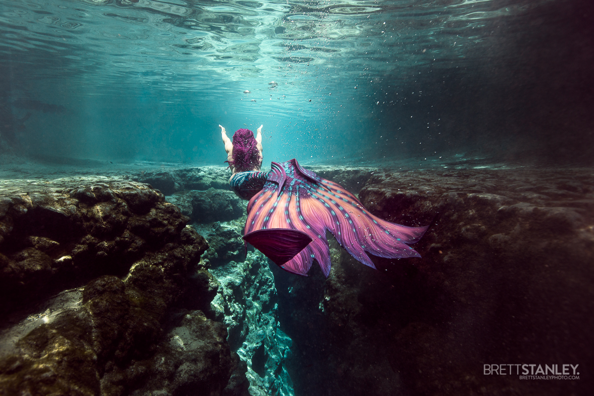 Underwater Alligator Filming: Florida Springs Production Underwater Alligator Filming: Florida Springs Production
