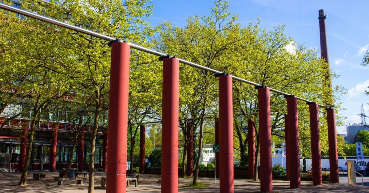 Uni Duisburg-Essen: Mitarbeiterin Gesteht Bestechung – Details Zum Skandal Uni Duisburg-Essen: Mitarbeiterin Gesteht Bestechung – Details Zum Skandal