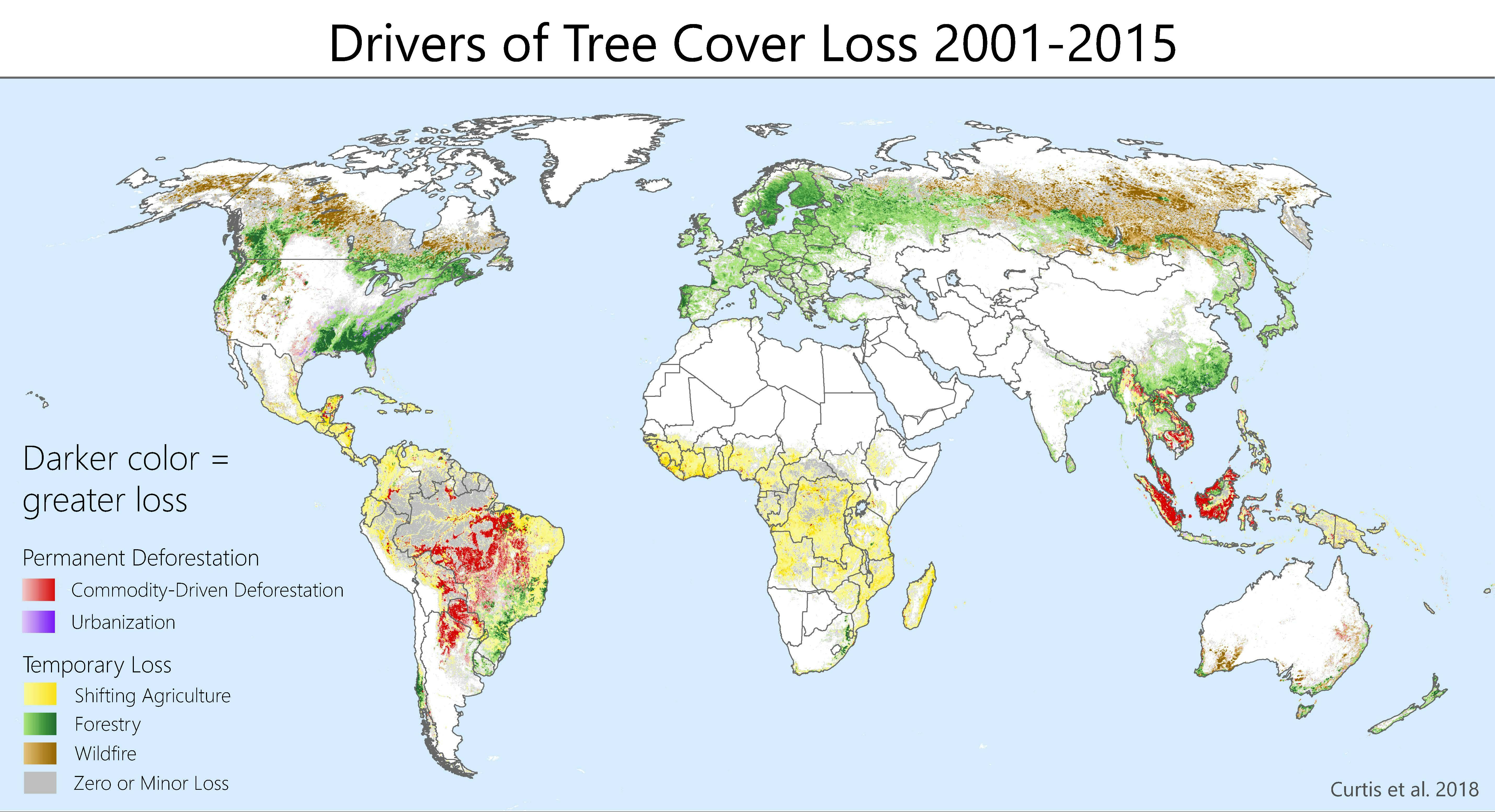 Unprecedented Global Forest Loss: The Impact Of Wildfires Unprecedented Global Forest Loss: The Impact Of Wildfires