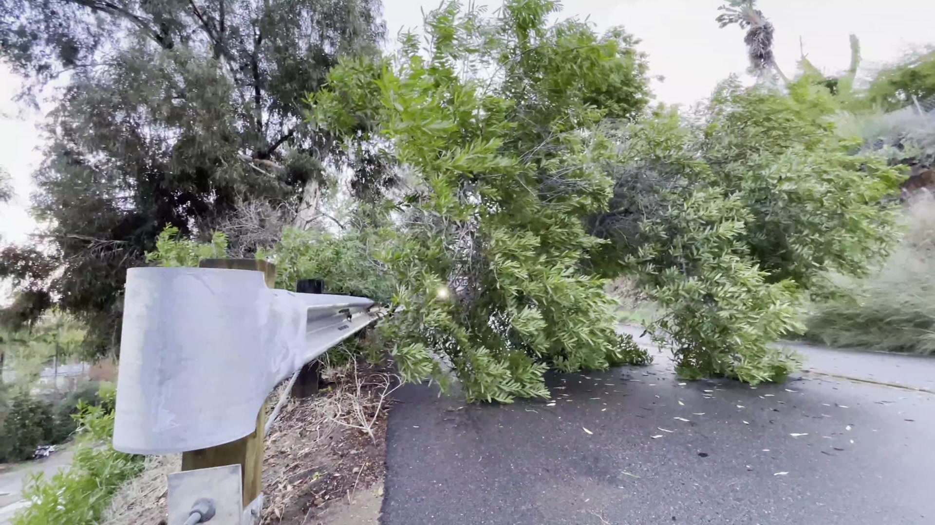 Unprecedented Late Winter Storm In San Diego Unprecedented Late Winter Storm In San Diego