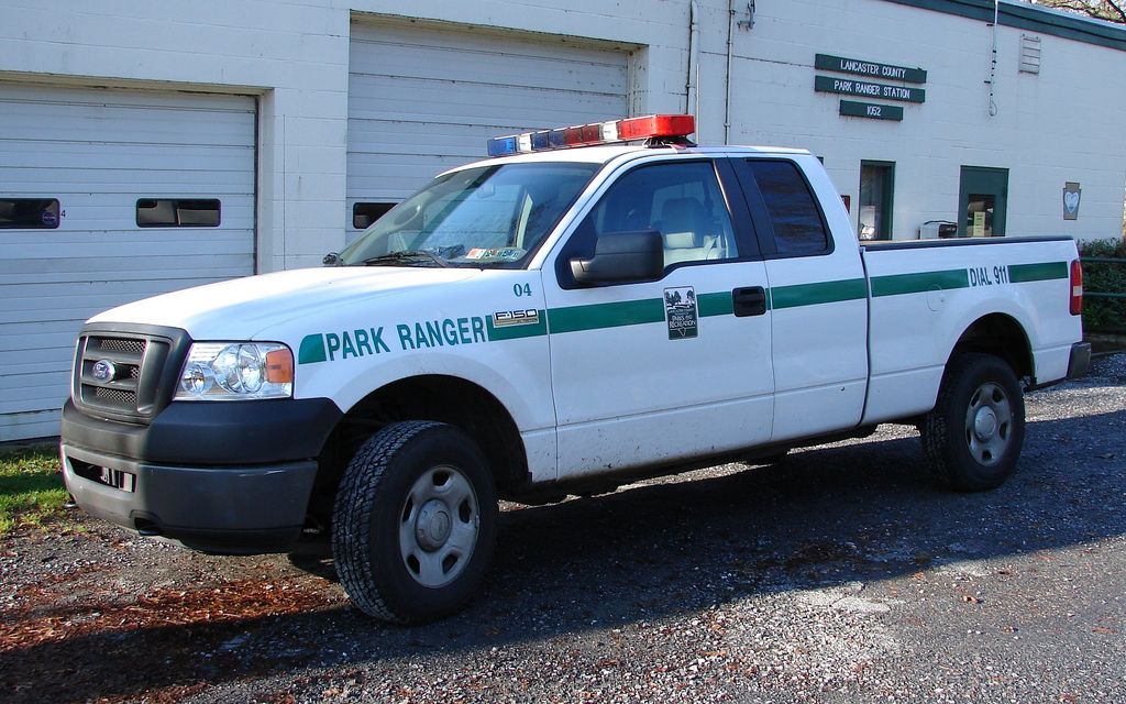 Update: Two Cows Loose In Lancaster County Park Update: Two Cows Loose In Lancaster County Park