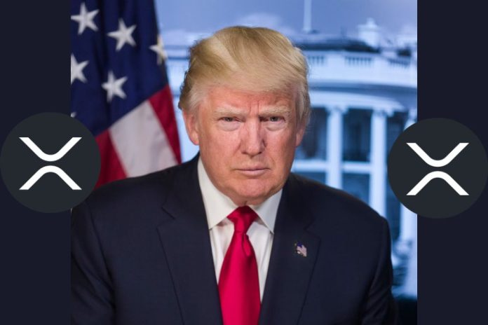 US President's Article On Trump And Ripple Sends XRP Price Skyrocketing US President's Article On Trump And Ripple Sends XRP Price Skyrocketing