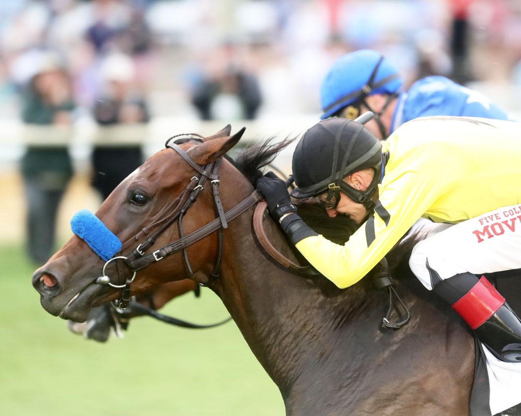 Virginia Derby Update: Stone's Announcement Signals Exciting Colonial Downs Meet Virginia Derby Update: Stone's Announcement Signals Exciting Colonial Downs Meet