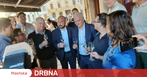 Volby 2024: Piráti A Zelení Spolupracují Na Zisku Mandátů Volby 2024: Piráti A Zelení Spolupracují Na Zisku Mandátů