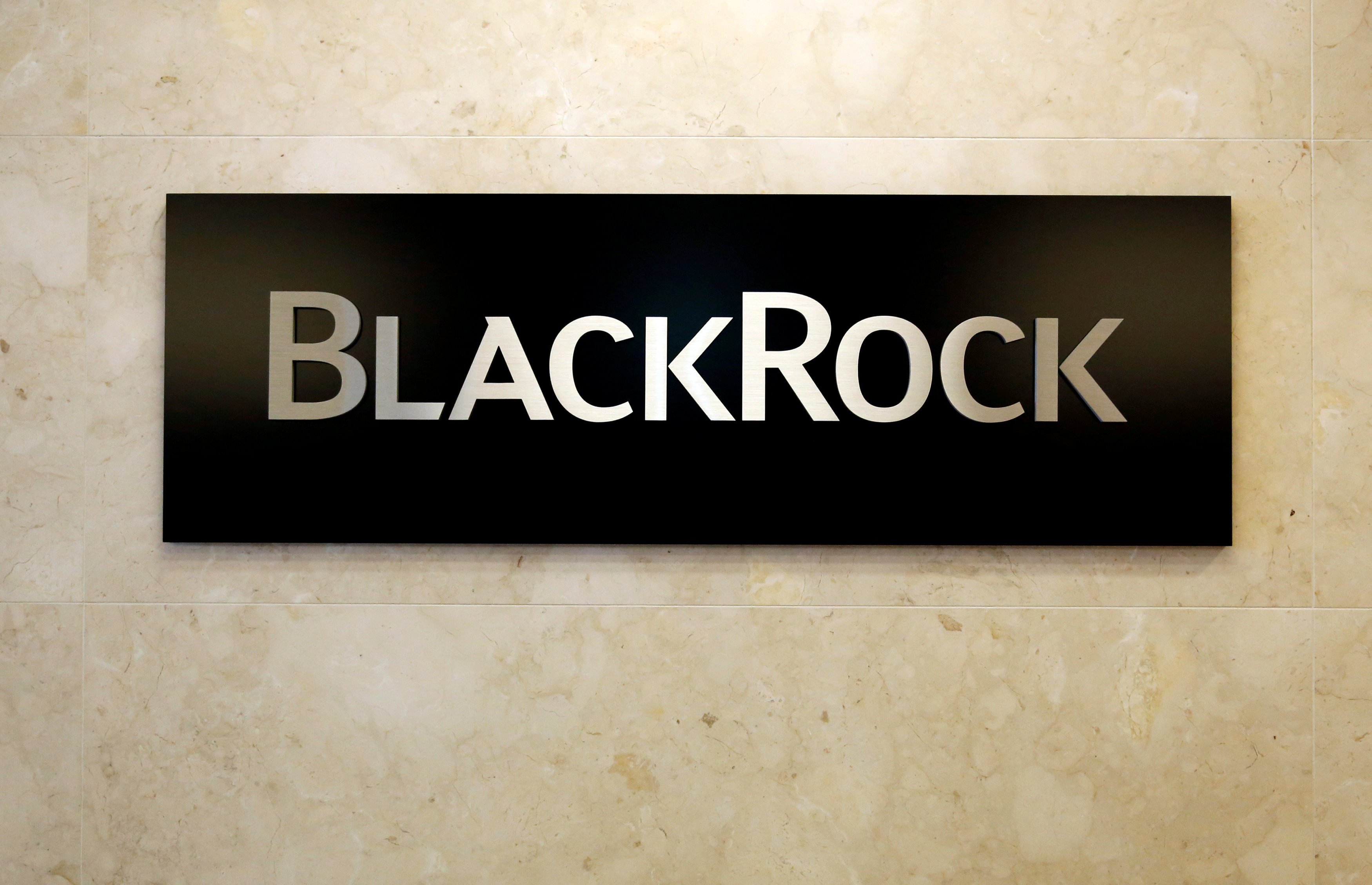 Wall Street's Prediction: This BlackRock ETF Could Surge 110% In 2025 Wall Street's Prediction: This BlackRock ETF Could Surge 110% In 2025