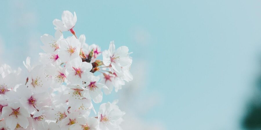 Was Geschah Am 10. April? Wichtige Ereignisse Des Tages Was Geschah Am 10. April? Wichtige Ereignisse Des Tages