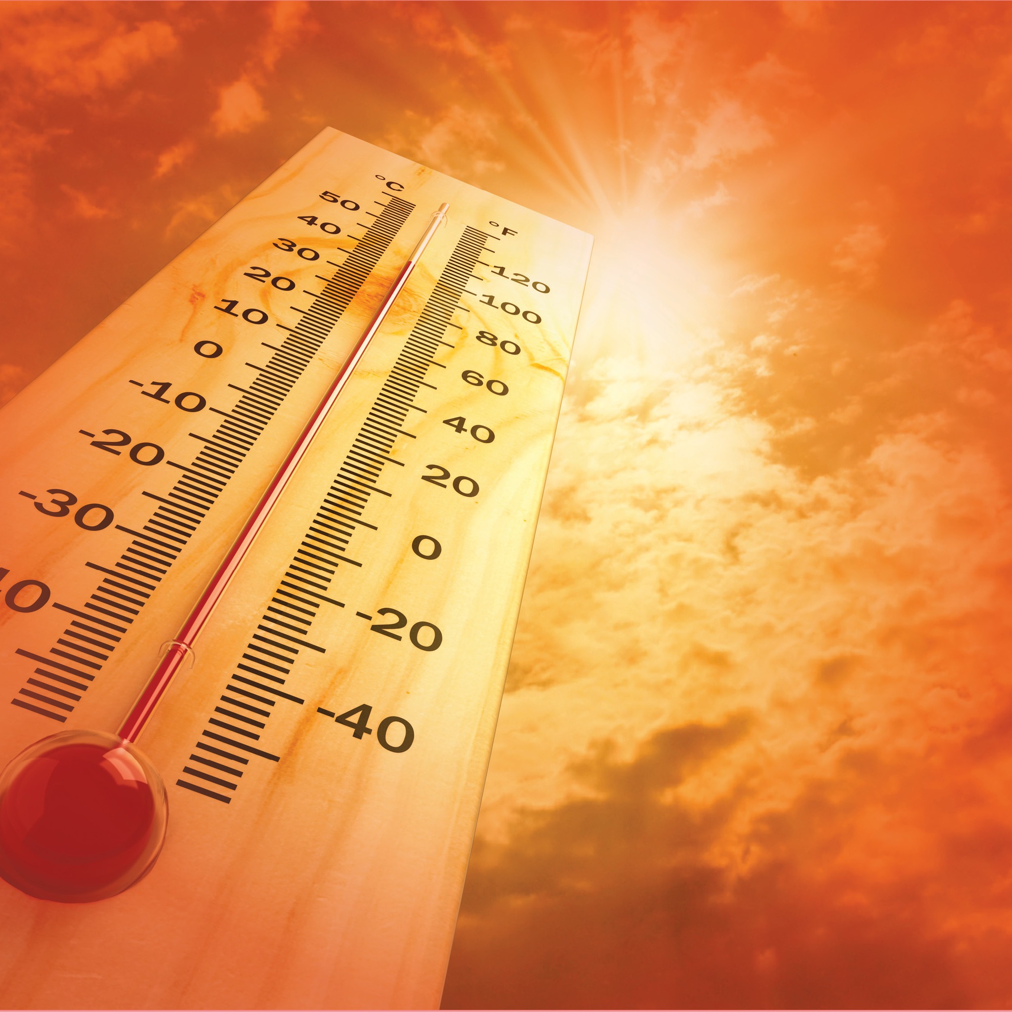 West Bengal Weather: Four Districts Face Extreme Heat Warning West Bengal Weather: Four Districts Face Extreme Heat Warning