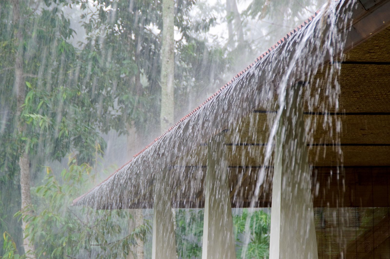 West Bengal Weather: Met Department Issues Rain Warning For North Bengal West Bengal Weather: Met Department Issues Rain Warning For North Bengal