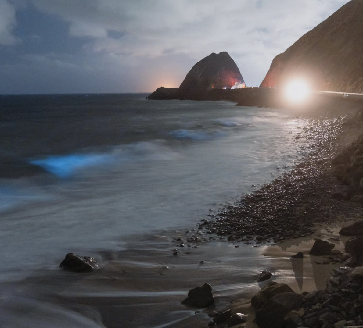 When To See Bioluminescent Waves On Southern California Beaches