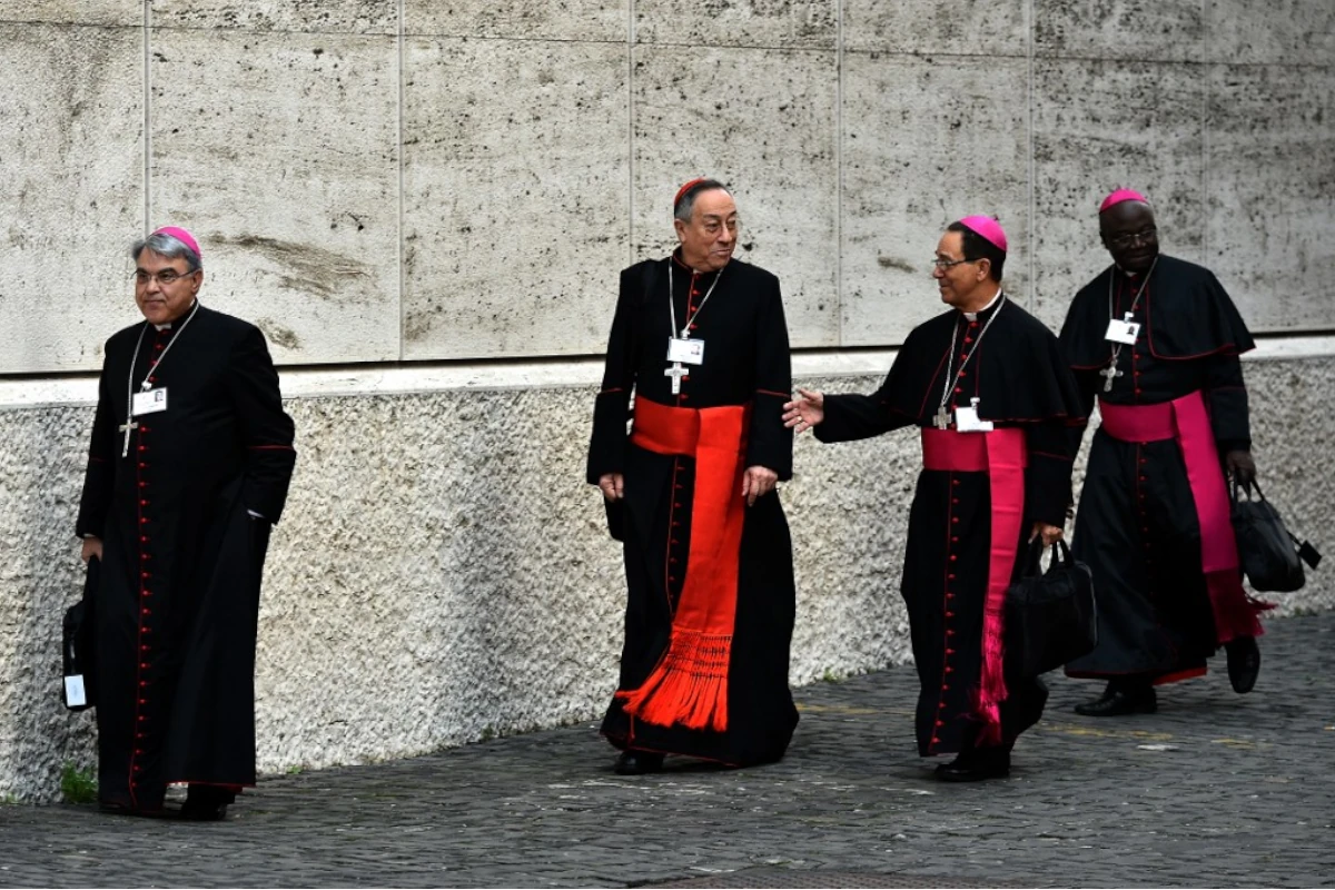 Who Will Be The Next Pope? 10 Cardinal Candidates Who Will Be The Next Pope? 10 Cardinal Candidates