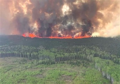 Wildfires Intensify Global Forest Loss: A Record-Breaking Year Wildfires Intensify Global Forest Loss: A Record-Breaking Year