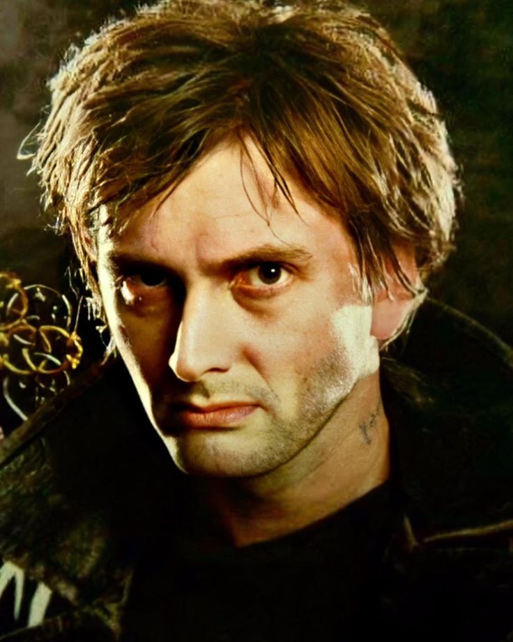 Will We See David Tennant Again In The Max Harry Potter Adaptation? Will We See David Tennant Again In The Max Harry Potter Adaptation?