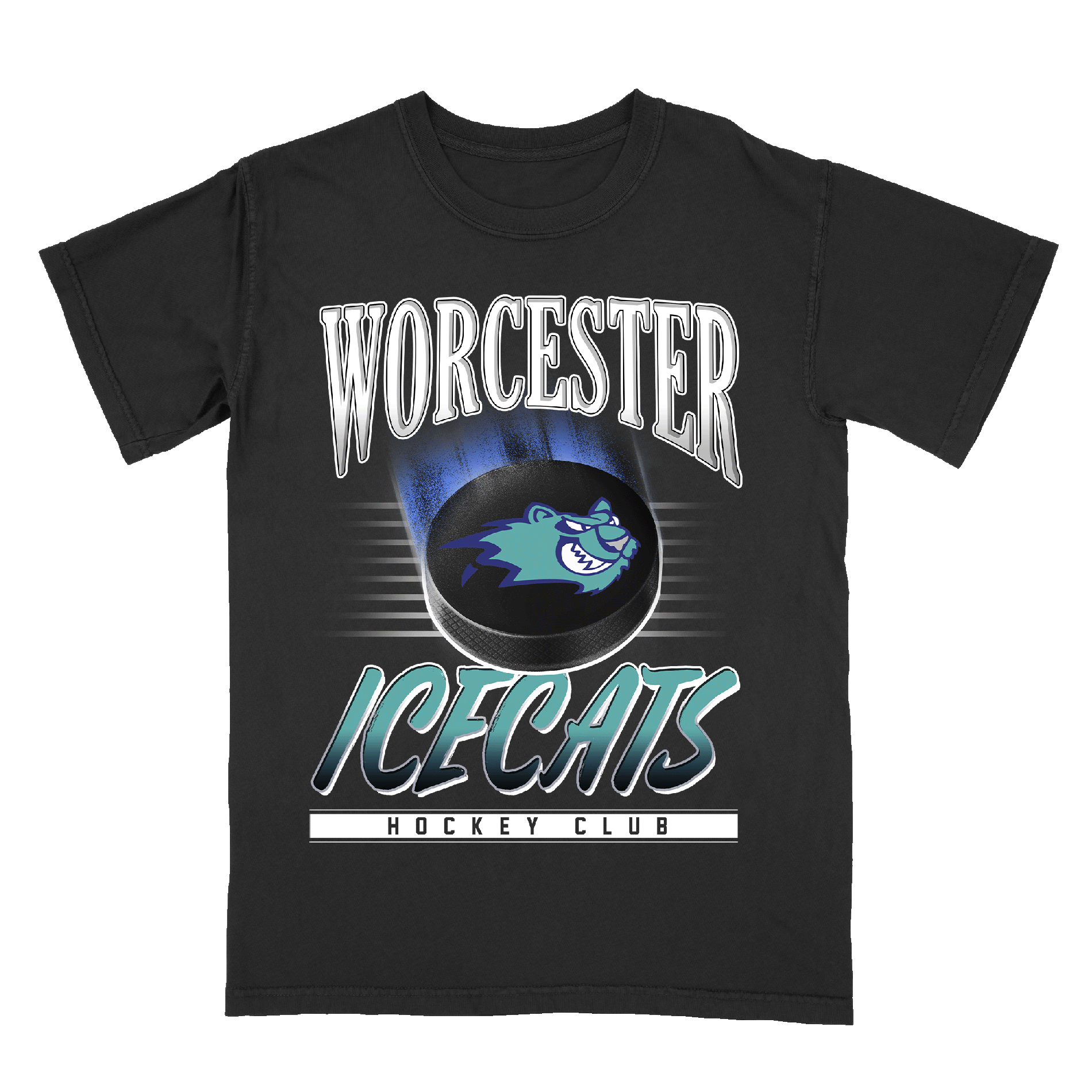Worcester ICE Arrest: Crowd Intervention Leads To Chaos