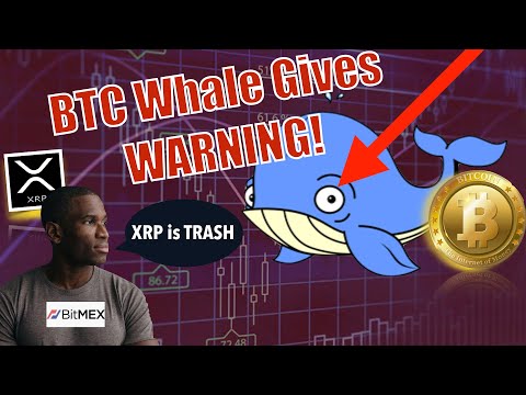 XRP Whale's 20M Token Acquisition: Market Implications Analyzed XRP Whale's 20M Token Acquisition: Market Implications Analyzed